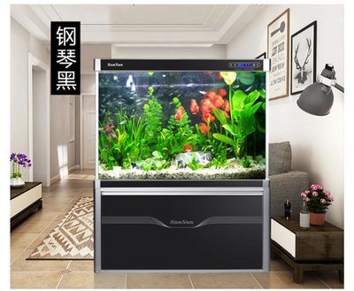 龍魚缸 造景：龍魚缸造景技巧