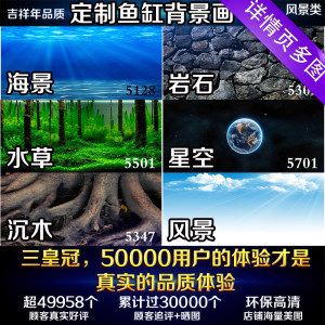 龍魚缸 造景：龍魚缸造景技巧