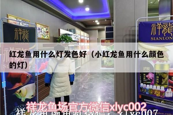 成年紅龍魚(yú)用什么色燈：成年紅龍魚(yú)適合使用色溫在兩千七百到六千七百之間的白燈