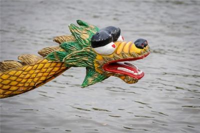 夢見龍和魚是什么預兆：周公解夢：夢見龍和魚的預兆