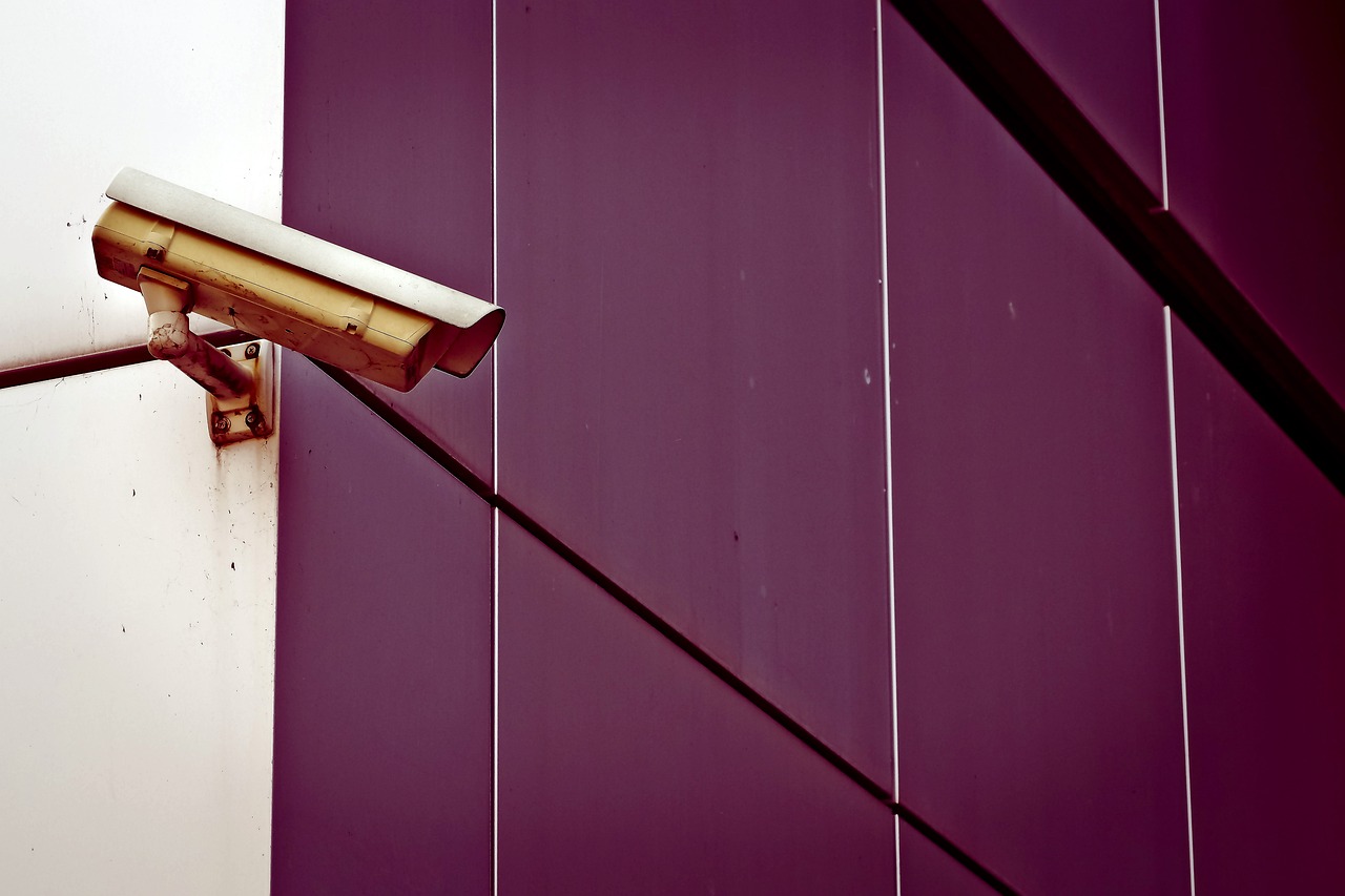 高新區（新市區）<strong><mark>阿勒泰</mark></strong>路永紅觀賞魚店