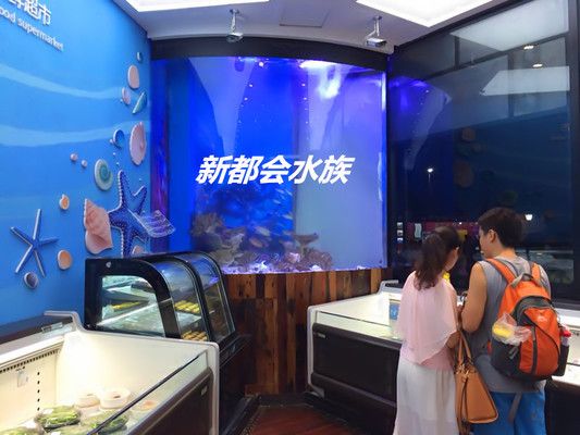 廣州定做大型魚缸多少錢一個(gè)月魚缸養(yǎng)護(hù)秘籍魚缸養(yǎng)護(hù)秘籍：廣州定做大型魚缸多少錢一個(gè)月養(yǎng)護(hù)秘籍魚缸養(yǎng)護(hù)秘籍