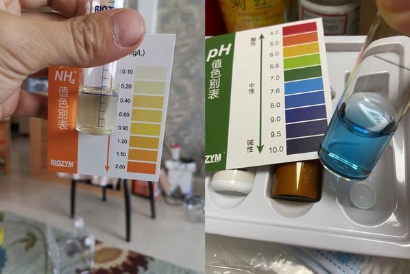 如何檢測魚缸氨氮含量：如何檢測魚缸的氨氮含量