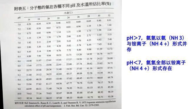 如何檢測魚缸氨氮含量：如何檢測魚缸的氨氮含量