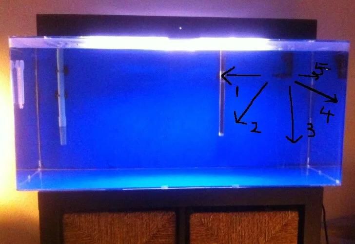 底濾魚缸怎么加水的正確方法視頻教學（底濾魚缸搜索結果中沒有直接提高過濾效率的正確方法）