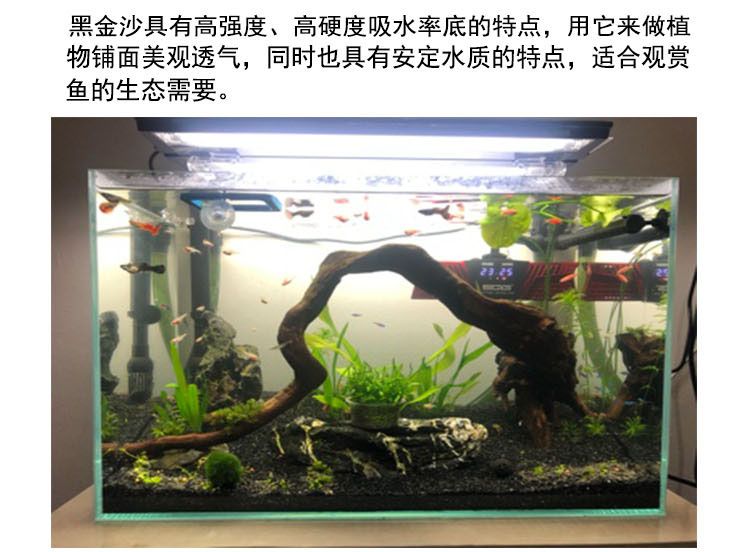 黑金沙魚缸造景的優缺點：黑金沙魚缸造景的優缺點：如何正確使用黑金沙進行魚缸造景 黑金沙魚缸造景的優缺點：黑金沙魚缸造景的優缺點：如何正確使用黑金沙進行魚缸造景 魚缸百科 第1張