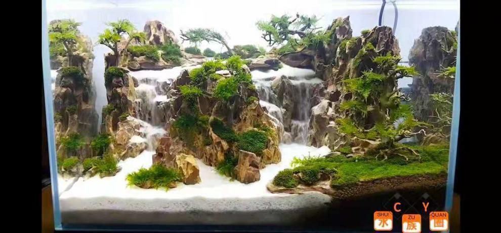 如何制作仿溪流魚缸：仿溪流魚缸是一種高仿真度的水族箱是一種高仿真度的水族箱
