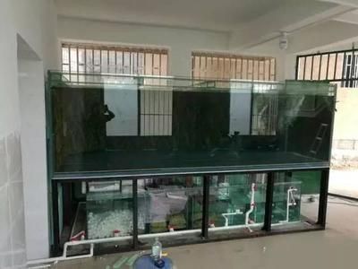 撫順市順城區精靈生態水族館