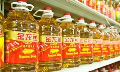 金龍魚有地溝嗎：金龍魚地溝油事件最初是由一篇不實報道引發的暗訪調查