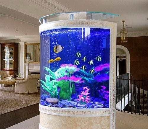 魚缸圖片效果圖高清（攝圖網、龍魚批發網站以及魚缸圖片效果圖高清大全）