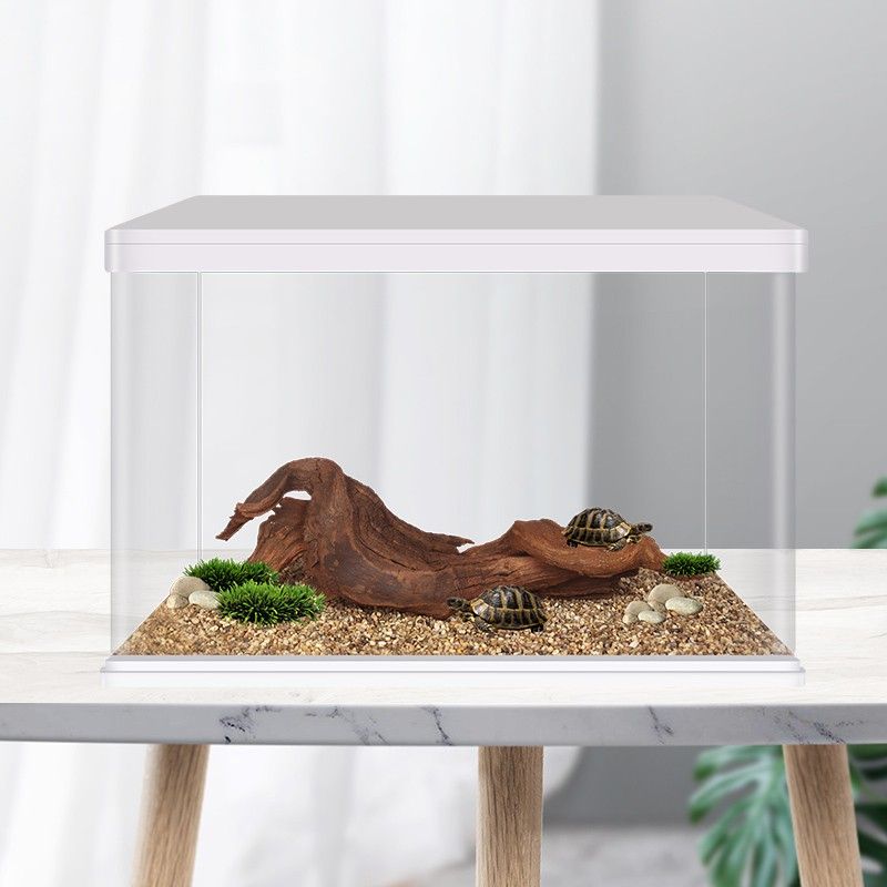 逸樂寵魚缸：關于逸樂寵魚缸的一些詳細信息