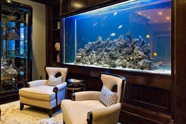魚缸水質監測傳感器選擇：魚缸水質監測與管理