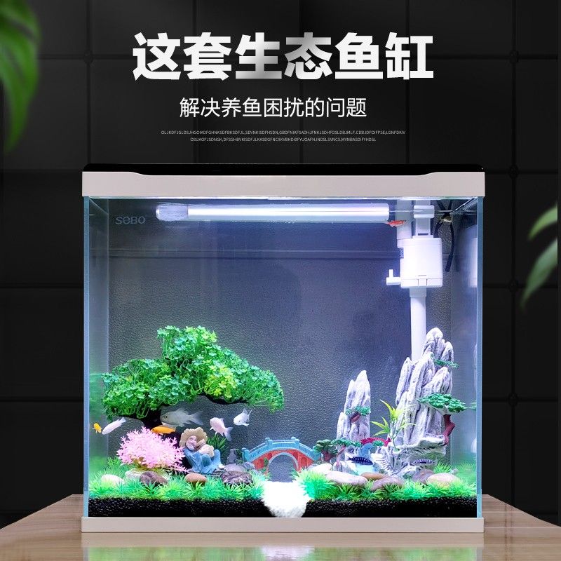 魚缸養魚文案（魚缸養魚）