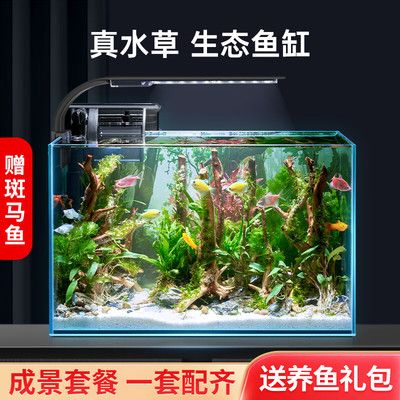 魚缸養魚文案（魚缸養魚）