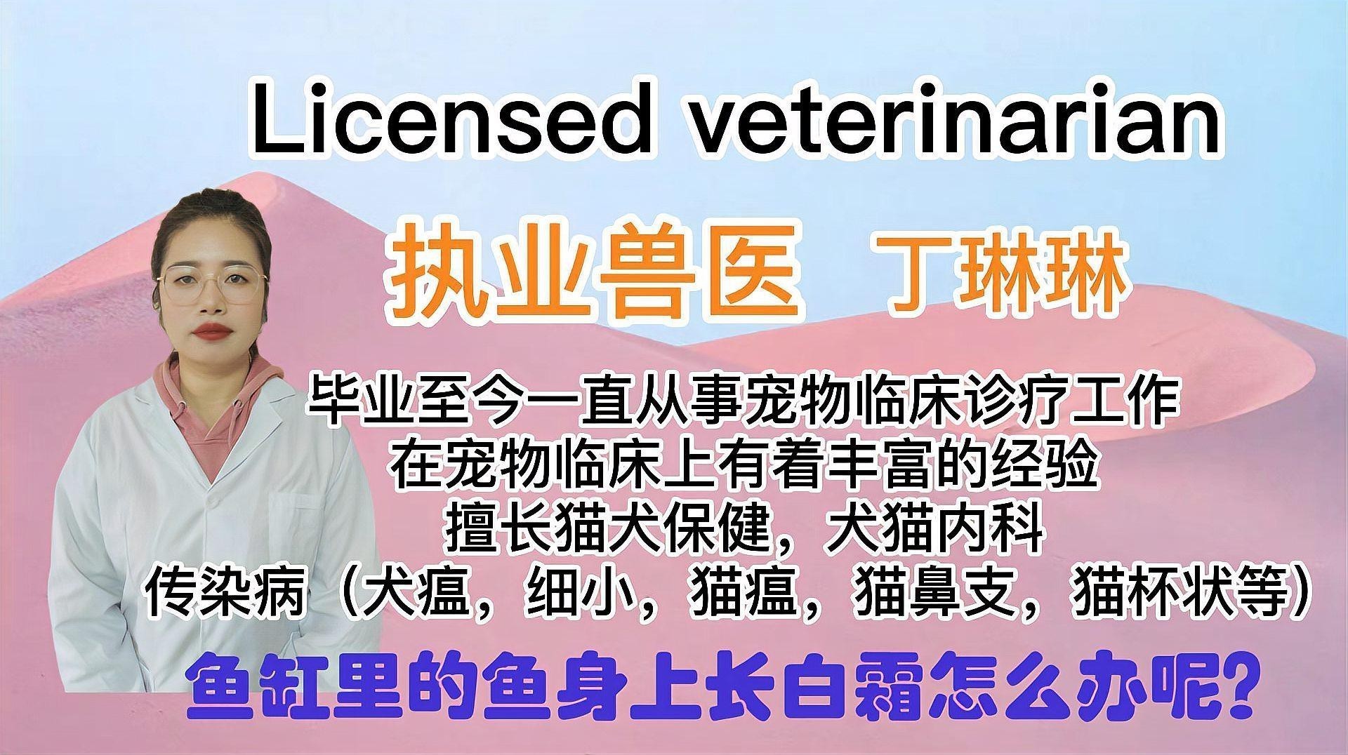 藍(lán)曼龍魚發(fā)白