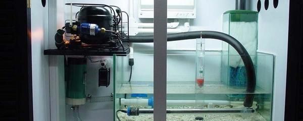 底濾魚缸溢流管怎么拆下來（底濾魚缸溢流管拆卸方法取決于溢流管的具體結構和材質）