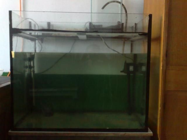 底濾魚缸溢流管怎么拆下來（底濾魚缸溢流管拆卸方法取決于溢流管的具體結構和材質）