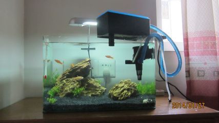 下過濾魚缸安裝方法（下過濾魚缸安裝方法,測量魚缸容積,準備安裝基礎平臺）