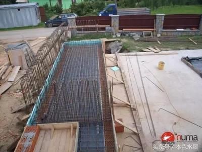 木板魚缸：如何選擇適合的木材，木板魚缸的日常維護技巧