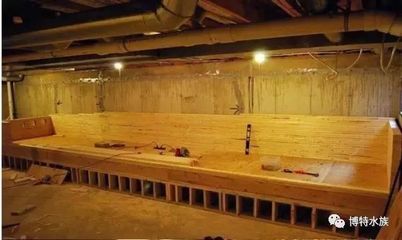 木板魚缸：如何選擇適合的木材，木板魚缸的日常維護技巧