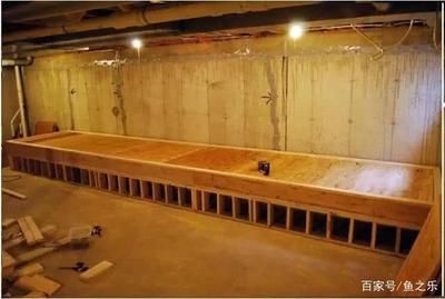 木板魚缸：如何選擇適合的木材，木板魚缸的日常維護技巧