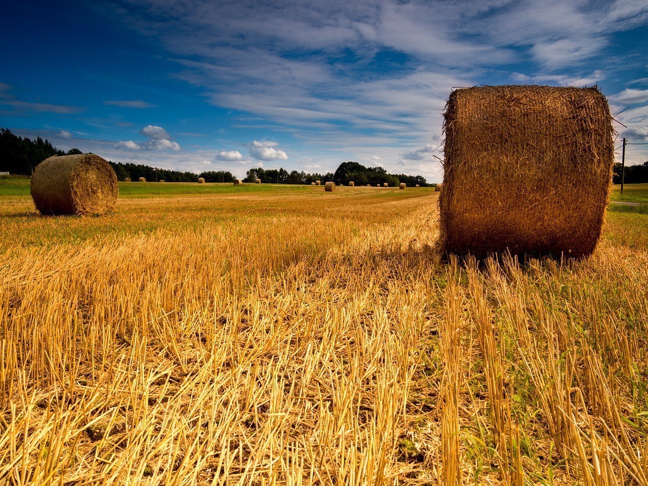 武漢市保保農業技術推廣服務有限公司