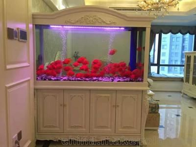 歐式魚缸圖片大全：各種歐式魚缸圖片大全