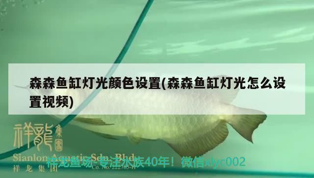 森森魚缸燈光自動設置怎樣關閉：森森魚缸燈光自動設置關閉方法