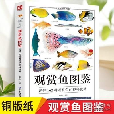 黑魚的飼養方法和注意事項：黑魚在魚缸中養殖需要注意水質、飼料和疾病預防等方面