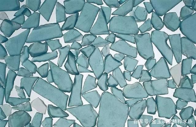 魚缸一般用幾年要換了（不同材質魚缸的優缺點）