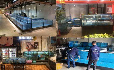淄博桓臺縣多家店鋪銷售魚缸：桓臺縣多家店鋪銷售魚缸