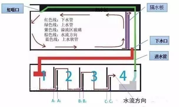魚缸過濾系統的維護與保養魚缸過濾系統的組成與注意事項：底濾魚缸的優缺點與使用技巧