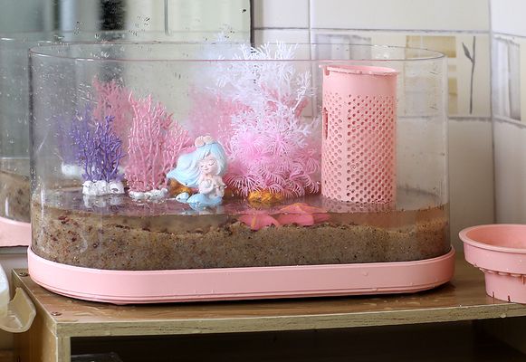 畫法幾何生態魚缸拆解：畫法幾何智能魚缸