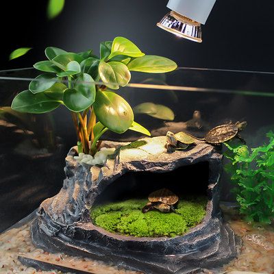 頂級魚缸品牌排行榜最新：頂級魚缸品牌排行榜 頂級魚缸品牌排行榜最新：頂級魚缸品牌排行榜 魚缸百科 第5張