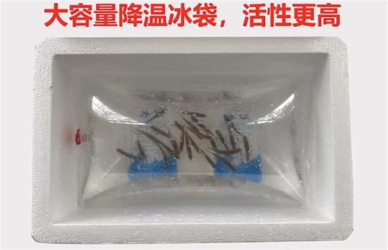 養(yǎng)旁皮魚(yú)缸需配什么燈：養(yǎng)旁皮魚(yú)缸需配什么燈，旁皮魚(yú)缸配置燈具的需求