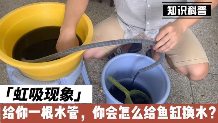 魚(yú)缸虹吸現(xiàn)象 三個(gè)征兆：如何預(yù)防魚(yú)缸虹吸現(xiàn)象