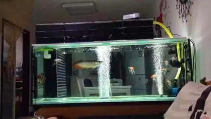 魚缸虹吸現象 三個征兆：如何預防魚缸虹吸現象