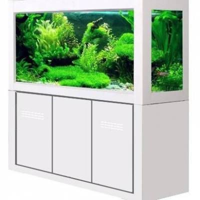 漢陽(yáng)漁場(chǎng)的歷史與發(fā)展：武漢漢陽(yáng)漁場(chǎng)的歷史與發(fā)展