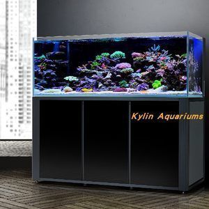 魚缸性價比高的品牌（森森玻璃生態魚缸價格適合家庭使用這些品牌）