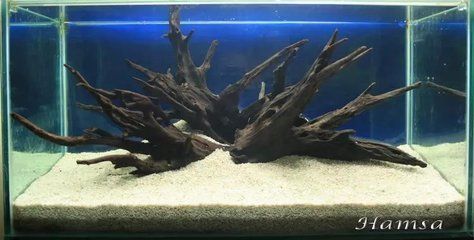 魚缸性價比高的品牌（森森玻璃生態魚缸價格適合家庭使用這些品牌）