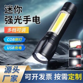 養金龍魚需要什么燈多少錢 養金龍魚需要什么燈多少錢 龍魚百科 第9張