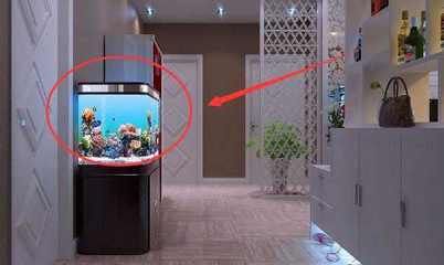 風水學中的魚缸擺放秘籍：家居風水中的魚缸布局秘籍