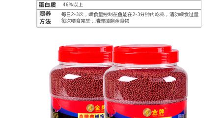 小龍魚喂多少飼料合適：小龍魚喂多少飼料合適呢？