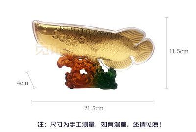 金龍魚尺寸怎么量圖解：如何測(cè)量金龍魚的尺寸