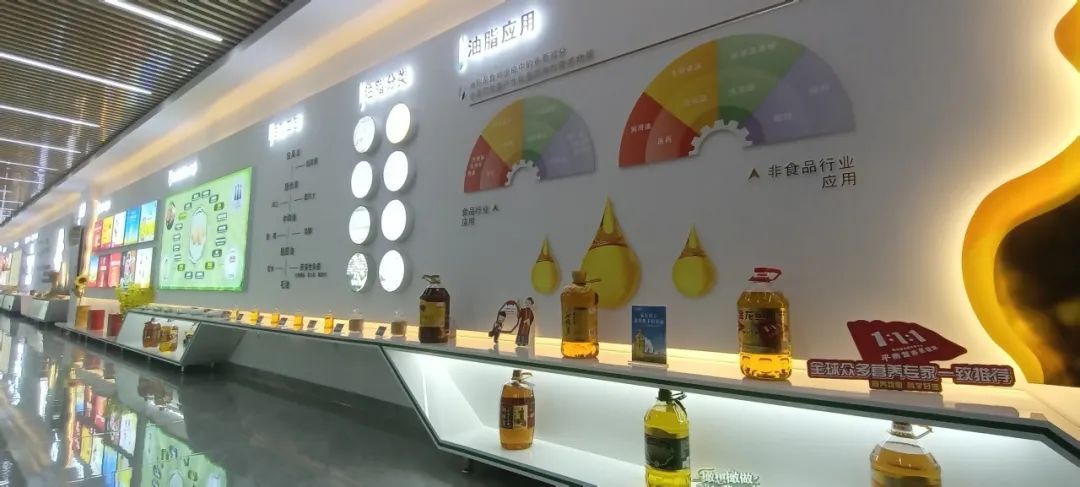 金龍魚尺寸怎么量圖解：如何測(cè)量金龍魚的尺寸