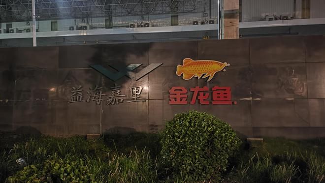 金龍魚尺寸怎么量圖解：如何測(cè)量金龍魚的尺寸
