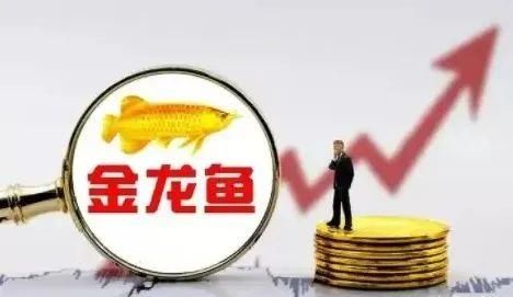 金龍魚尺寸怎么量圖解：如何測(cè)量金龍魚的尺寸