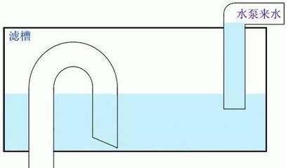 底濾魚缸制作原理（底濾魚缸與其他過濾方式的對比底濾魚缸的制作原理）