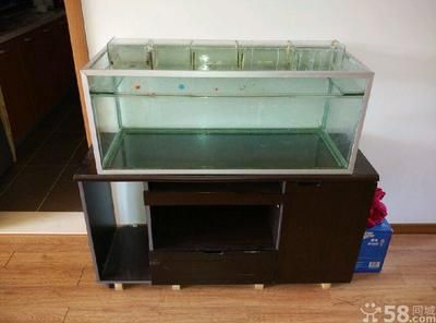 花鳥魚蟲市場的信息尚未給出，花鳥魚蟲市場的需求：花鳥市場花鳥市場