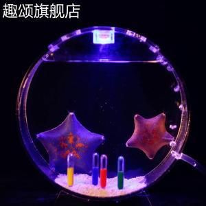 海星活體海水魚缸（養護海星活體海水魚缸需要注意什么？）